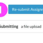 A Canvas Assignment page as it displays once you’ve successfully submitted an assignment. There is a notice on the right side of the screen that confirms “Submitted!” followed by links to your submission details and the submitted file. There is a link to Re-submit Assignment.