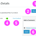 The Submission Details page in Canvas displays the assignment grade (if available), the marking rubric (if available), the date and time the assignment was last submitted and a link to Re-submit Assignment (if available). There is box with a link to your file, a coloured similarity indicator/link and a link to View Feedback (if available). In the lower right there is a Comment text entry box, link to record a Media Comment, link to Attach File and link to Save the comment.