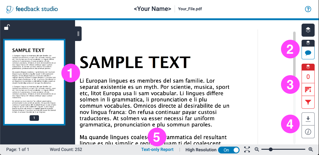 An assignment submission as shown in Turnitin’s Feedback Studio. The submission file is in the centre of the screen. To the left is a document navigator, and to the right are document viewing and feedback options. There is a link for a Text-only Report format at the bottom of the page.