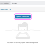 An embedded Turnitin window within a Canvas Assignment page. At the top of the window is a tab headed ‘Assignment Dashboard’. In the middle of the window is a link to ‘Upload Submission’.