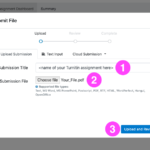 A Turnitin Submit File pop-up window in Canvas that is shown when uploading a file submission, where you give your submission a Title and choose a Submission File. Two additional tabs are displayed: Text Input and Cloud Submission. At the bottom of the Upload Submission tab is a link to Upload and Review.