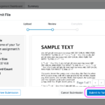 A Turnitin Submit File pop-up in Canvas as shown when reviewing a file before final submission. A small preview of the file uploaded is displayed alongside the file details, followed by links to Preview Submission larger, Cancel Submission or Submit to Turnitin.